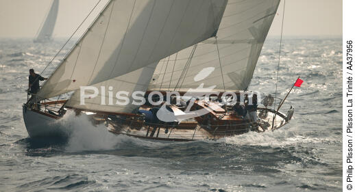 Oiseau de feu - © Philip Plisson / Plisson La Trinité / AA37956 - Photo Galleries - Sailing boat