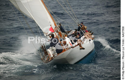 Oiseau de feu - © Philip Plisson / Plisson La Trinité / AA37958 - Nos reportages photos - Yachting