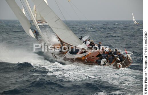 Oiseau de feu - © Philip Plisson / Plisson La Trinité / AA37960 - Nos reportages photos - Yachting