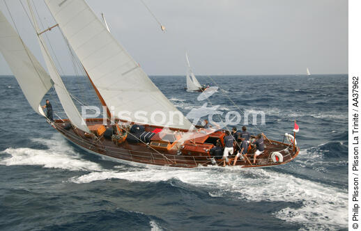 Oiseau de feu - © Philip Plisson / Plisson La Trinité / AA37962 - Nos reportages photos - Yachting