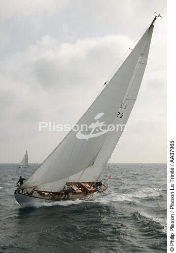 Oiseau de feu - © Philip Plisson / Plisson La Trinité / AA37965 - Nos reportages photos - Yachting