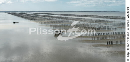 Culture de moules en baie du Mont-Saint-Michel - © Philip Plisson / Plisson La Trinité / AA38224 - Nos reportages photos - Aquaculture