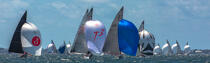 Coupe du Monde 2015 de 6 m JI à la Trinité sur mer © Philip Plisson / Plisson La Trinité / AA38284 - Nos reportages photos - Quiberon [Baie de]