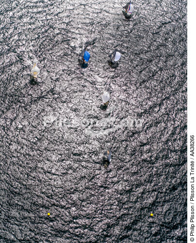 Coupe du Monde 2015 de 6 m JI à la Trinité sur mer - © Philip Plisson / Plisson La Trinité / AA38266 - Nos reportages photos - Terme marin