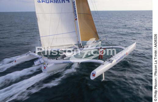 Laurent Bourgnon - © Philip Plisson / Plisson La Trinité / AA38326 - Nos reportages photos - Trimaran de course