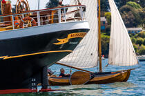 © Philip Plisson / Plisson La Trinité / AA38432 La semaine du Golfe 2015 - Photo Galleries - Traditional sailing