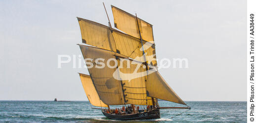 La semaine du Golfe 2015 - © Philip Plisson / Plisson La Trinité / AA38449 - Photo Galleries - Sailing boat
