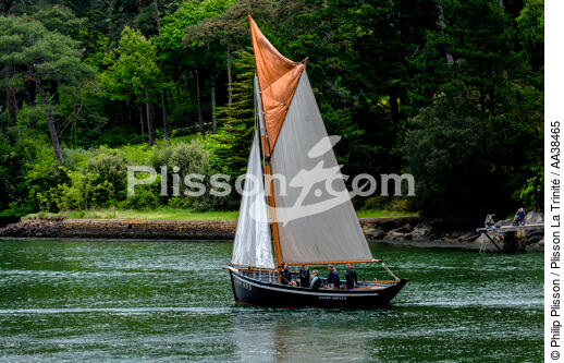 La semaine du Golfe 2015 - © Philip Plisson / Plisson La Trinité / AA38465 - Photo Galleries - Boat
