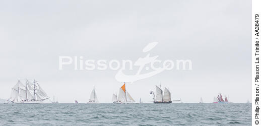 La semaine du Golfe 2015 - © Philip Plisson / Plisson La Trinité / AA38479 - Photo Galleries - Morbihan