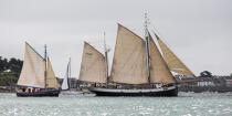 © Philip Plisson / Plisson La Trinité / AA38486 La semaine du Golfe 2015 - Photo Galleries - Traditional sailing
