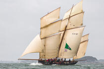 © Philip Plisson / Plisson La Trinité / AA38490 La semaine du Golfe 2015 - Photo Galleries - Traditional sailing