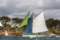 © Philip Plisson / Plisson La Trinité / AA38495 La semaine du Golfe 2015 - Photo Galleries - Traditional sailing