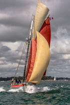 © Philip Plisson / Plisson La Trinité / AA38498 La semaine du Golfe 2015 - Photo Galleries - Traditional sailing
