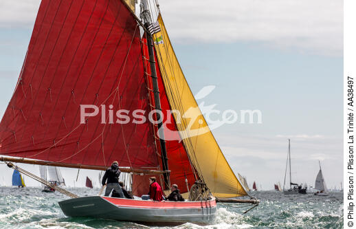 La semaine du Golfe 2015 - © Philip Plisson / Plisson La Trinité / AA38497 - Nos reportages photos - Morbihan