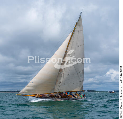 La semaine du Golfe 2015 - © Philip Plisson / Plisson La Trinité / AA38333 - Photo Galleries - Sailing boat