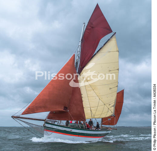 La semaine du Golfe 2015 - © Philip Plisson / Plisson La Trinité / AA38334 - Photo Galleries - Morbihan [The gulf of the]
