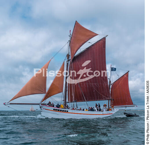 La semaine du Golfe 2015 - © Philip Plisson / Plisson La Trinité / AA38335 - Photo Galleries - Traditional sailing