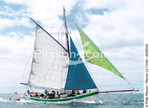 La semaine du Golfe 2015 - © Philip Plisson / Plisson La Trinité / AA38345 - Photo Galleries - Sailing boat
