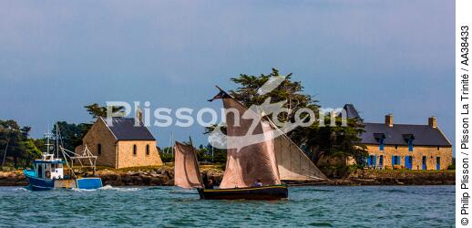 La semaine du Golfe 2015 - © Philip Plisson / Plisson La Trinité / AA38433 - Photo Galleries - Sailing boat