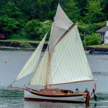 © Philip Plisson / Plisson La Trinité / AA38463 La semaine du Golfe 2015 - Photo Galleries - Traditional sailing