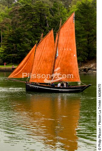 La semaine du Golfe 2015 - © Philip Plisson / Plisson La Trinité / AA38470 - Photo Galleries - Traditional sailing