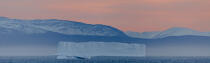 © Philip Plisson / Plisson La Trinité / AA38593 On the west coast of Greenland - Photo Galleries - Ground shot