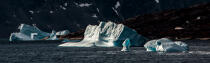 © Philip Plisson / Plisson La Trinité / AA38618 On the west coast of Greenland - Photo Galleries - Ground shot
