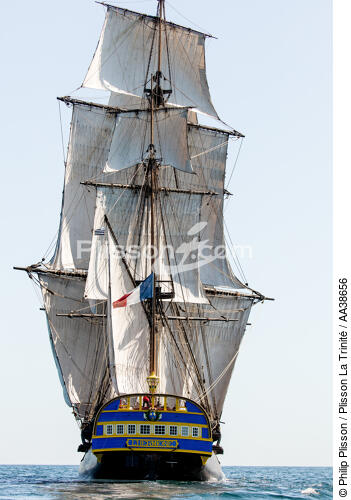 L'Hermione at sea - © Philip Plisson / Plisson La Trinité / AA38656 - Photo Galleries - Tall ship / Sailing ship