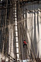 © Philip Plisson / Pêcheur d’Images / AA38652 L'Hermione en navigation - Nos reportages photos - Grand voilier