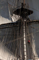 © Philip Plisson / Plisson La Trinité / AA38653 L'Hermione at sea - Photo Galleries - Vertical