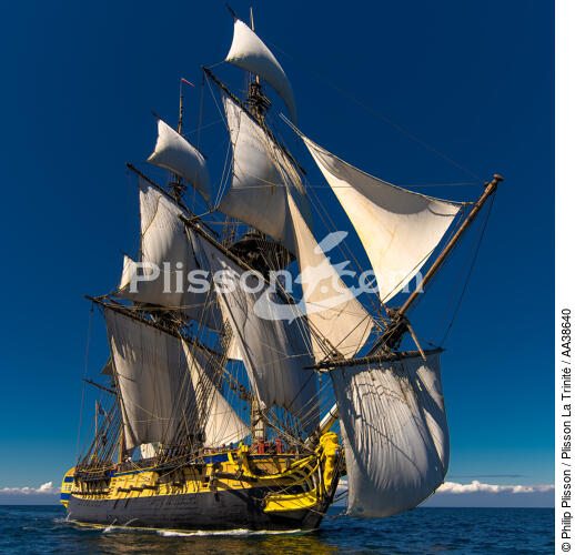 L'Hermione at sea - © Philip Plisson / Plisson La Trinité / AA38640 - Photo Galleries - Tall ship / Sailing ship