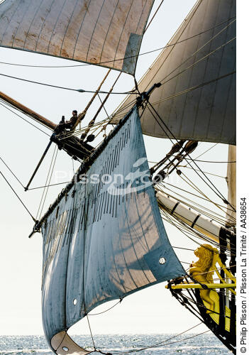 L'Hermione at sea - © Philip Plisson / Plisson La Trinité / AA38654 - Photo Galleries - Traditional sailing