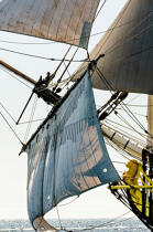 © Philip Plisson / Plisson La Trinité / AA38654 L'Hermione at sea - Photo Galleries - Vertical