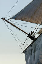 © Philip Plisson / Pêcheur d’Images / AA38657 L'Hermione en navigation - Nos reportages photos - Grand voilier