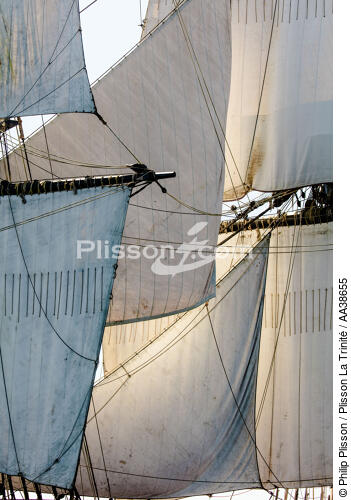 L'Hermione en navigation - © Philip Plisson / Plisson La Trinité / AA38655 - Nos reportages photos - Bateau