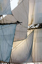 © Philip Plisson / Pêcheur d’Images / AA38655 L'Hermione en navigation - Nos reportages photos - Grand voilier