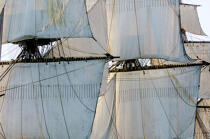 © Philip Plisson / Pêcheur d’Images / AA38658 L'Hermione en navigation - Nos reportages photos - Grand voilier