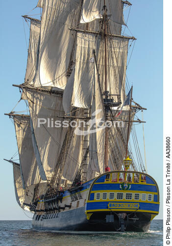 L'Hermione at sea - © Philip Plisson / Plisson La Trinité / AA38660 - Photo Galleries - Traditional sailing