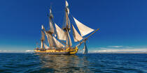 © Philip Plisson / Plisson La Trinité / AA38659 L'Hermione at sea - Photo Galleries - Sailing boat