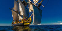© Philip Plisson / Plisson La Trinité / AA38662 L'Hermione at sea - Photo Galleries - Sailing boat