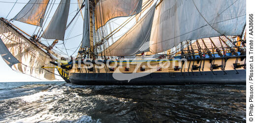 L'Hermione at sea - © Philip Plisson / Plisson La Trinité / AA38666 - Photo Galleries - Sailing boat