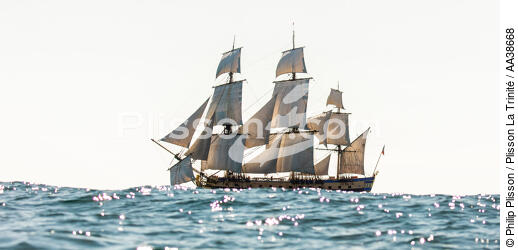 L'Hermione at sea - © Philip Plisson / Plisson La Trinité / AA38668 - Photo Galleries - Boat