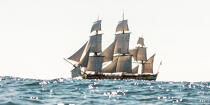 © Philip Plisson / Pêcheur d’Images / AA38668 L'Hermione en navigation - Nos reportages photos - Grand voilier