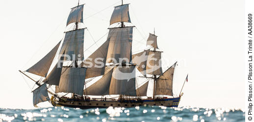 L'Hermione at sea - © Philip Plisson / Plisson La Trinité / AA38669 - Photo Galleries - Tall ship / Sailing ship