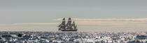 © Philip Plisson / Pêcheur d’Images / AA38672 L'Hermione en navigation - Nos reportages photos - Grand voilier