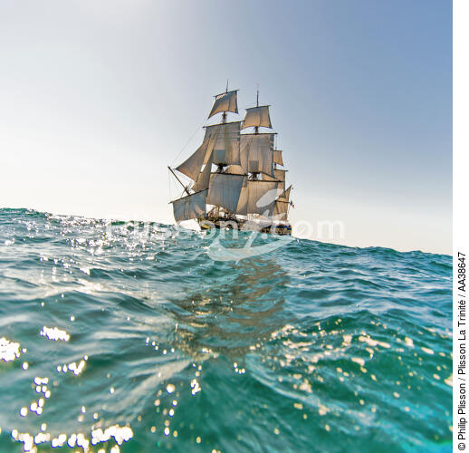 L'Hermione at sea - © Philip Plisson / Plisson La Trinité / AA38647 - Photo Galleries - Tall ship / Sailing ship