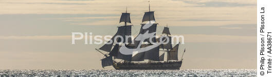 L'Hermione at sea - © Philip Plisson / Plisson La Trinité / AA38671 - Photo Galleries - Ground shot