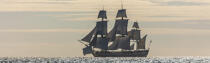 © Philip Plisson / Pêcheur d’Images / AA38671 L'Hermione en navigation - Nos reportages photos - Grand voilier