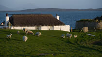 © Philip Plisson / Pêcheur d’Images / AA38766 North Uist - Photo Galleries - House