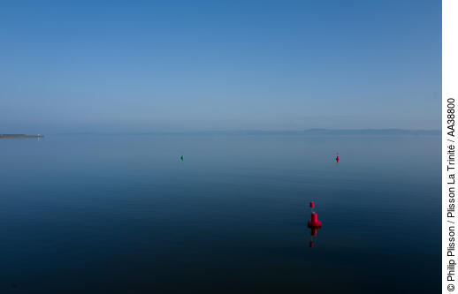Port de Newhaven à Édimbourg - © Philip Plisson / Plisson La Trinité / AA38800 - Nos reportages photos - Mer calme